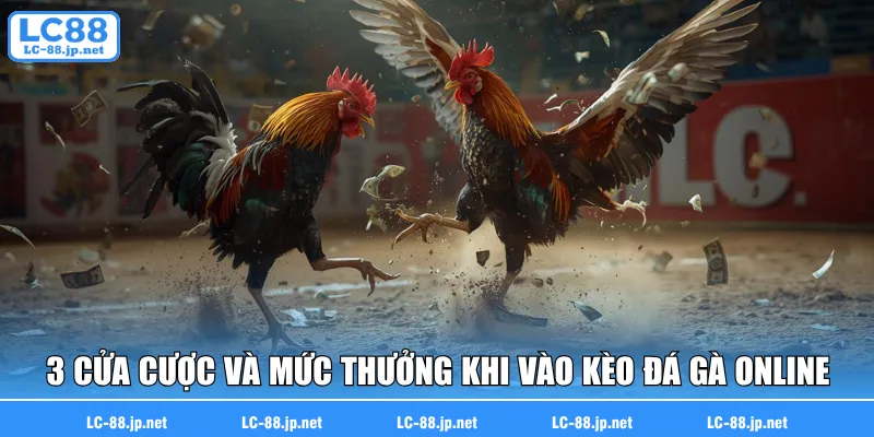 3 cửa cược và mức thưởng khi vào kèo đá gà online