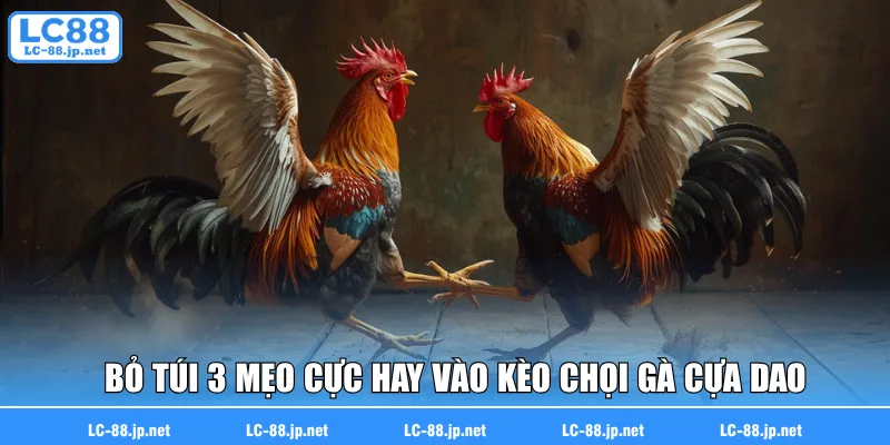 Bỏ túi 3 mẹo cực hay vào kèo chọi gà cựa dao