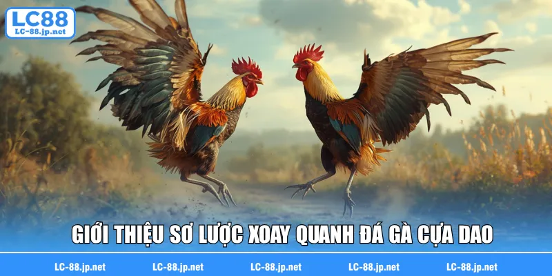 Giới thiệu sơ lược xoay quanh đá gà cựa dao