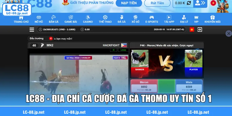 LC88 - địa chỉ cá cược đá gà Thomo uy tín số 1LC88 - địa chỉ cá cược đá gà Thomo uy tín số 1