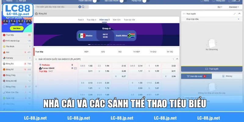 Nhà cái và các sảnh thể thao tiêu biểu