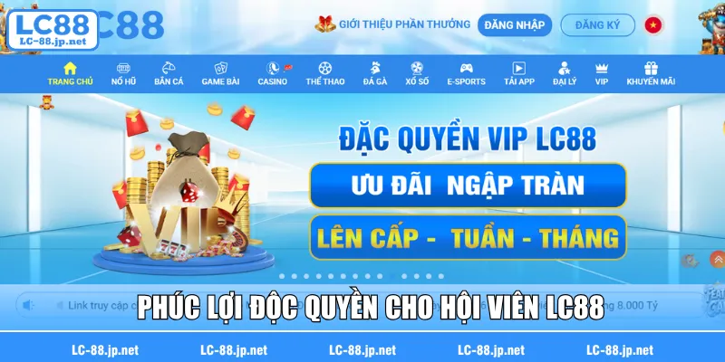 Phúc lợi độc quyền cho hội viên LC88